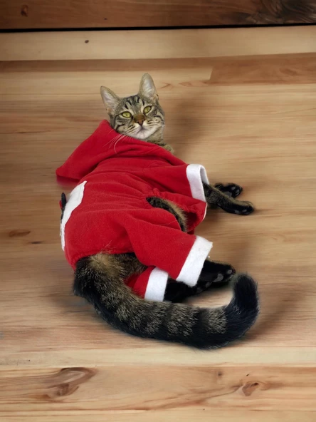 Kırmızı Sevimli Fare Kapşonlu Duo Kedi Tulumu - 2