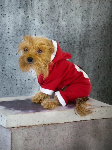 Kırmızı Sevimli Fare Duo Kapşonlu Köpek Tulumu - 2