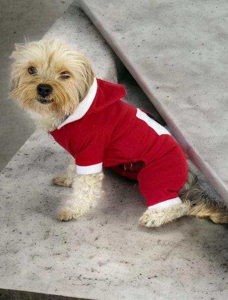 Kırmızı Sevimli Fare Duo Kapşonlu Köpek Tulumu - 4