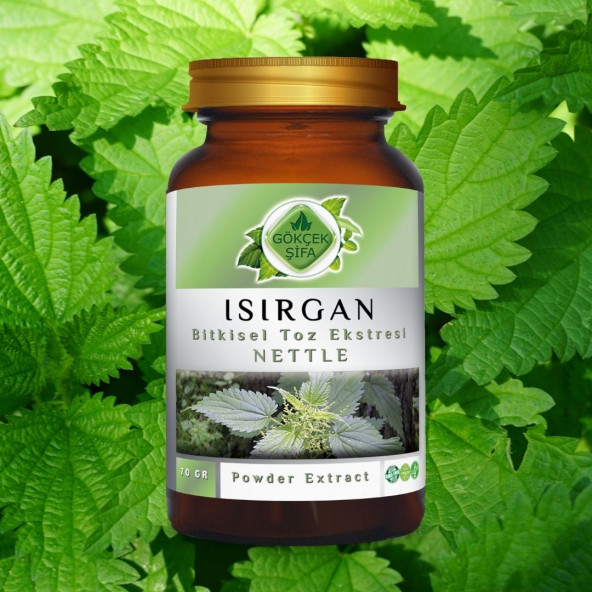 Isırgan Toz Ekstresi (Astragalus membranaceus)70 gr. Cam Kavanoz - 6