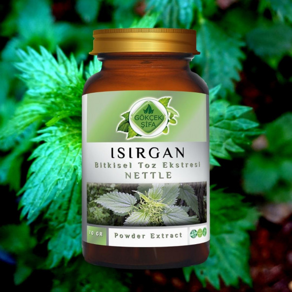 Isırgan Toz Ekstresi (Astragalus membranaceus)70 gr. Cam Kavanoz - 7