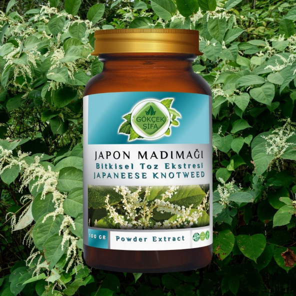 Japon Poligonumu Toz Ekstresi 100 gr. Cam Kavanoz - 2