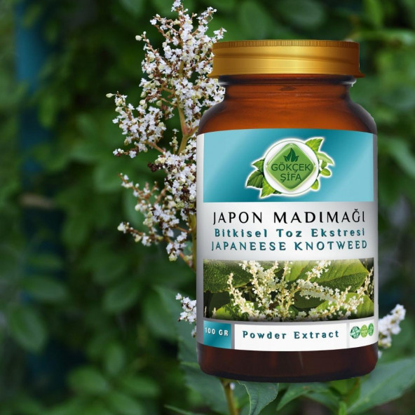 Japon Poligonumu Toz Ekstresi 100 gr. Cam Kavanoz - 5