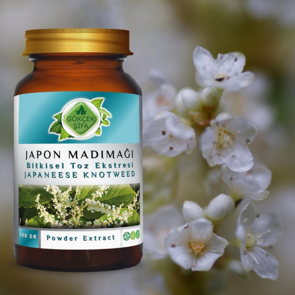 Japon Poligonumu Toz Ekstresi 100 gr. Cam Kavanoz - 6