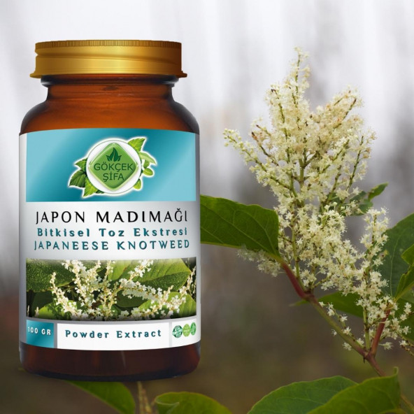 Japon Poligonumu Toz Ekstresi 100 gr. Cam Kavanoz - 7