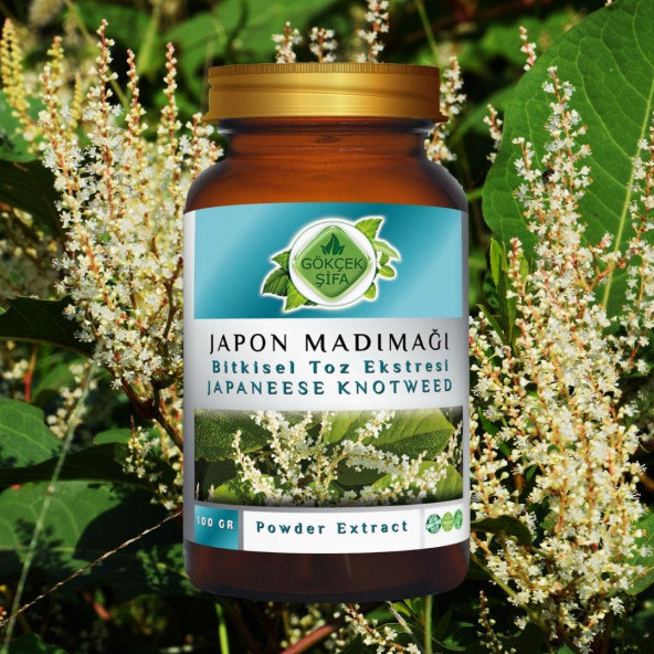 Japon Poligonumu Toz Ekstresi 100 gr. Cam Kavanoz - 8