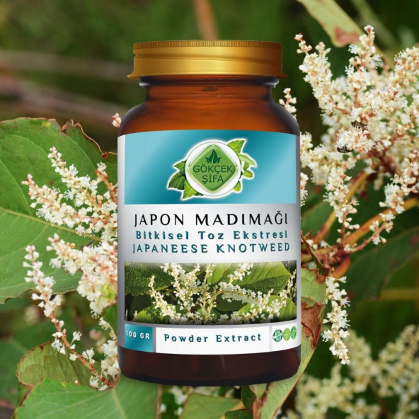 Japon Poligonumu Toz Ekstresi 100 gr. Cam Kavanoz - 9