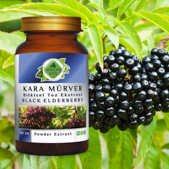 Kara Mürver Toz Ekstresi 100 gr. Cam Kavanoz - 4