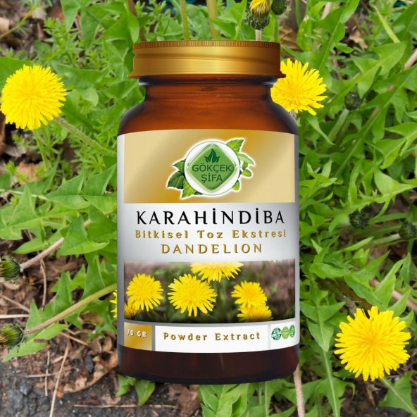 Karahindiba Toz Ekstresi 70 gr. Cam Kavanoz - 2