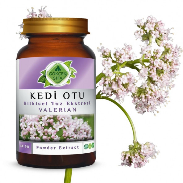 Kedi Otu Toz Ekstresi 80 gr. Cam Kavanoz - 4