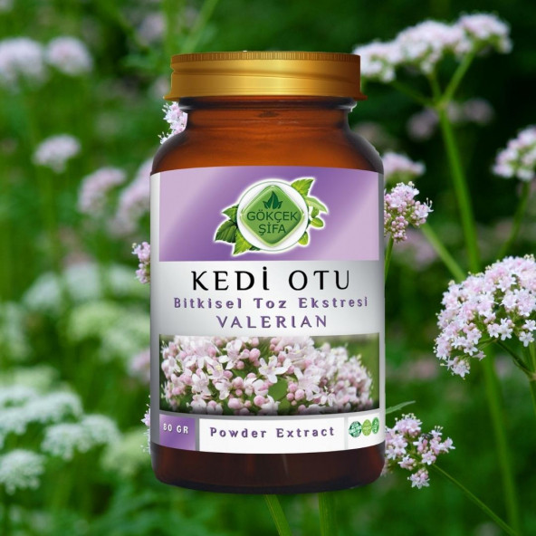 Kedi Otu Toz Ekstresi 80 gr. Cam Kavanoz - 7