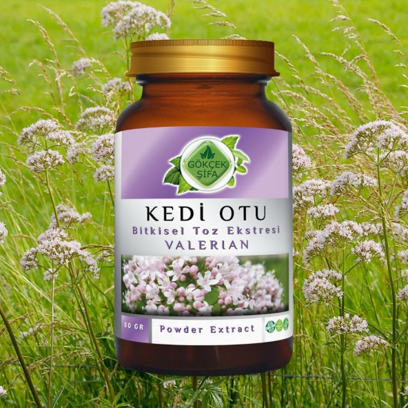 Kedi Otu Toz Ekstresi 80 gr. Cam Kavanoz - 9