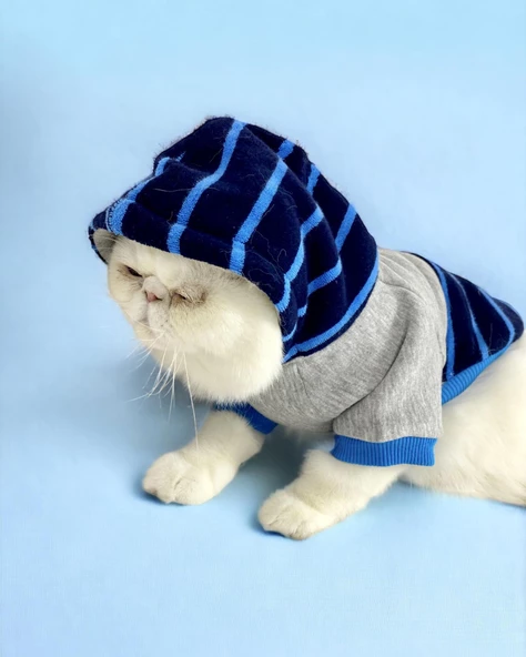 Blue Line Sweatshirt Kapşonlu Kedi Kıyafeti Kedi Sweatshirt - 3