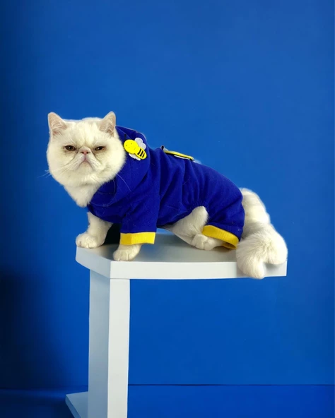 Navy Bee Kedi Tulumu Kedi Kıyafeti - 7