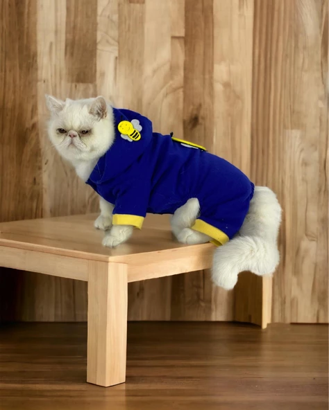 Navy Bee Kedi Tulumu Kedi Kıyafeti - 6