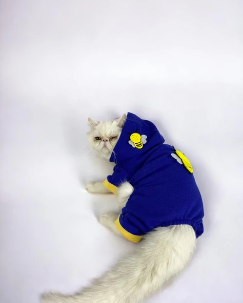 Navy Bee Kedi Tulumu Kedi Kıyafeti - 8