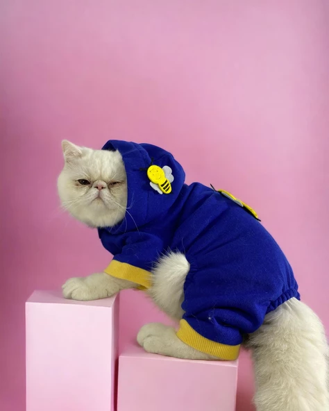 Navy Bee Kedi Tulumu Kedi Kıyafeti