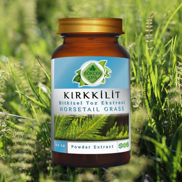 Kırk Kilit Toz Ekstresi (Equisetum Arvense)100 gr Cam Kavanoz - 4
