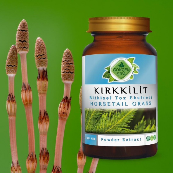 Kırk Kilit Toz Ekstresi (Equisetum Arvense)100 gr Cam Kavanoz - 6