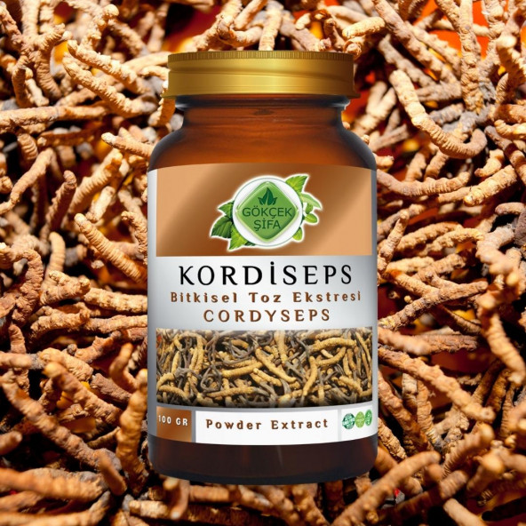 Kordisep Toz Ekstresi Cordyceps sinensis100 gr Cam Kavanoz - 2