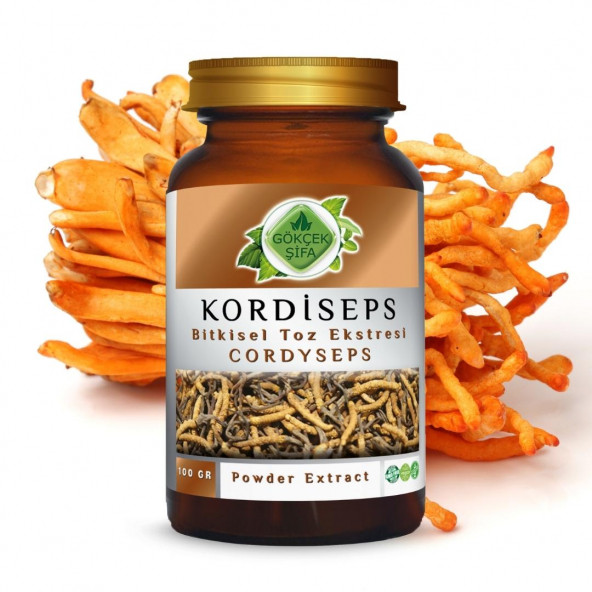 Kordisep Toz Ekstresi Cordyceps sinensis100 gr Cam Kavanoz - 3