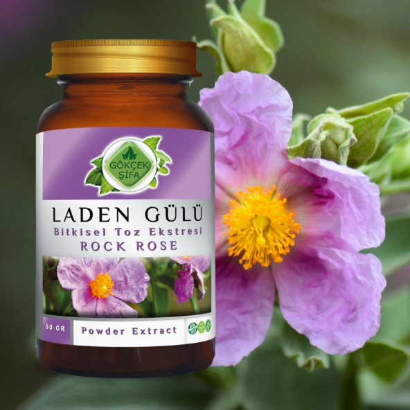 Laden Gülü Toz Ekstresi (Istus Creticus)50 gr Cam Kavanoz - 4