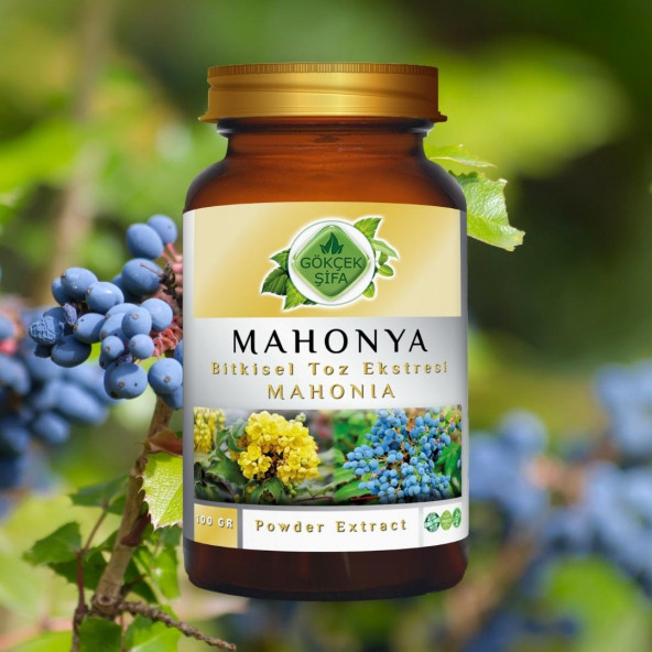 Mahonia Toz Ekstresi (Mahonia Aquifolium)100 gr Cam Kavanoz - 2