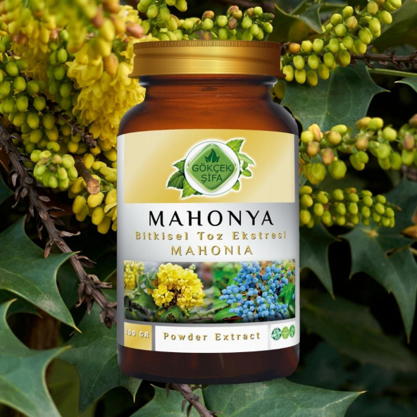 Mahonia Toz Ekstresi (Mahonia Aquifolium)100 gr Cam Kavanoz - 4