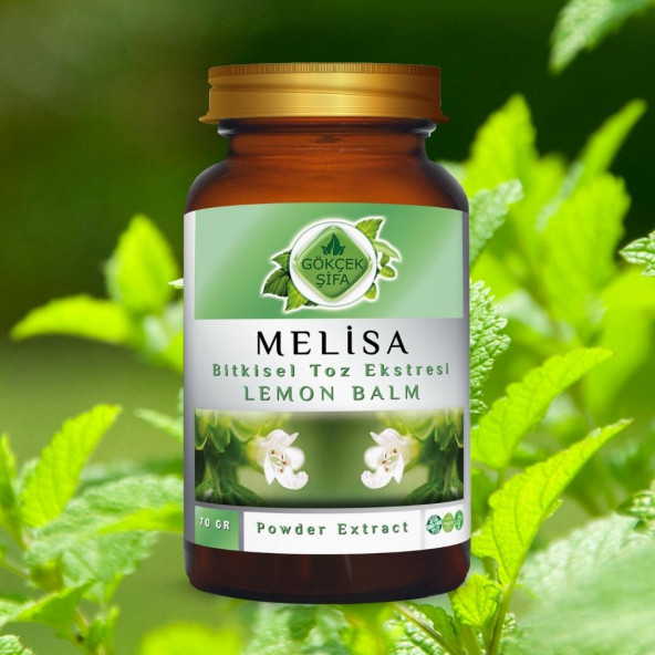 Melisa Toz Ekstresi (Melissa Officinalis L.)70 gr Cam Kavanoz - 3