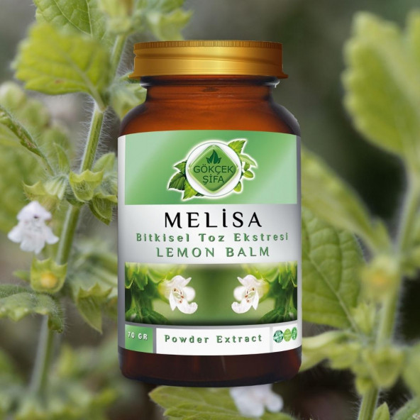 Melisa Toz Ekstresi (Melissa Officinalis L.)70 gr Cam Kavanoz - 6