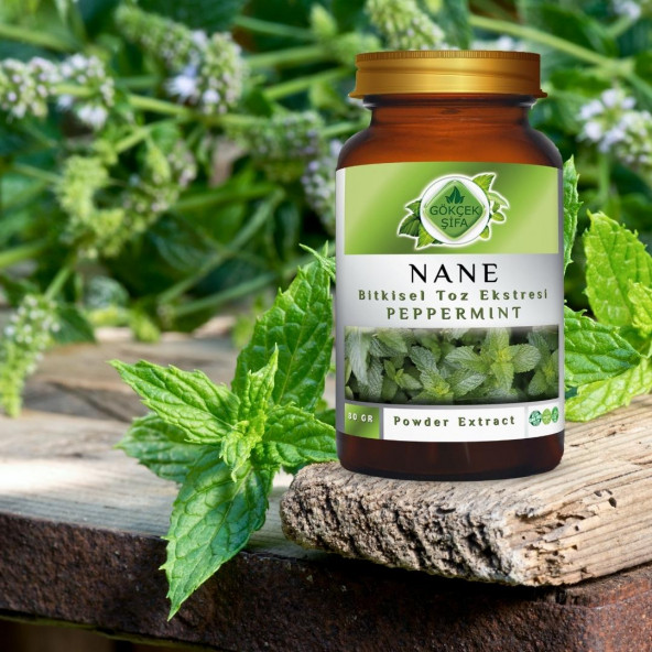 Nane Toz Ekstresi (Mentha Piperita L.) 80 gr Cam Kavanoz - 9