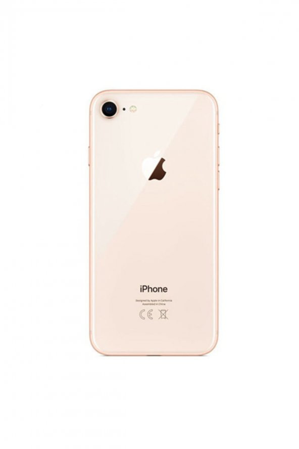 Apple Yenilenmiş iPhone 8 64 GB B Grade Silver (12 Ay Garantili)