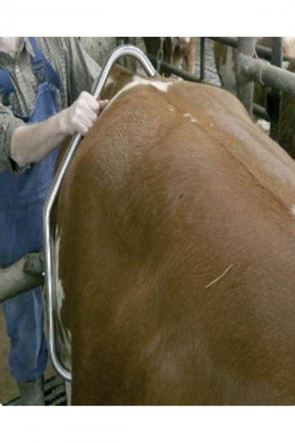 Hayvan-Sığır Tekme Önleyici Tekme Savar Tekmelik 2 Adet - 3