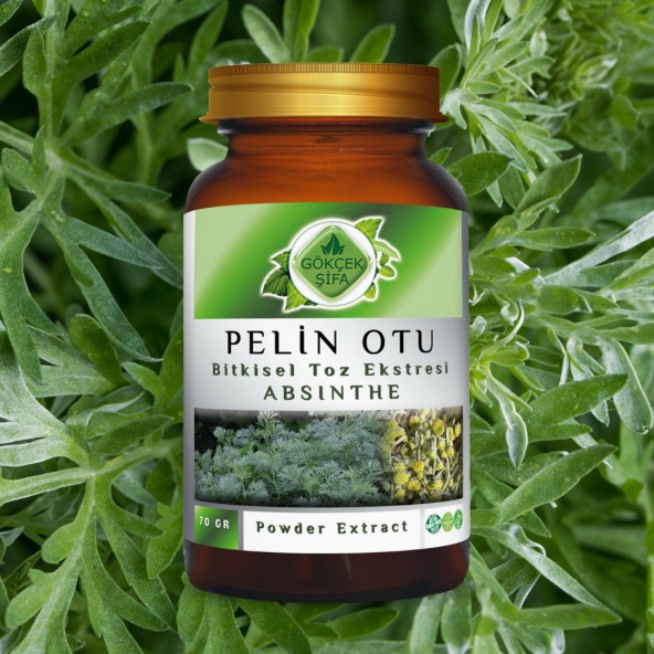 Pelin Otu Toz Ekstresi (Artemisia Absinthium)70 gr Cam Kavanoz - 6