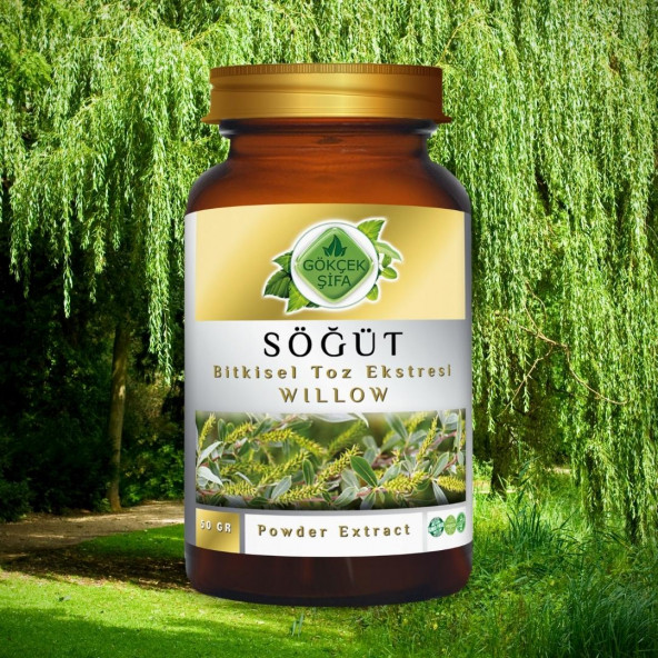Söğüt Toz Ekstresi (Salix) 50 gr Cam Kavanoz - 7