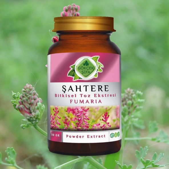 Şahtere Toz Ekstresi (Fumaria Officinalis)50 gr Cam Kavanoz - 2