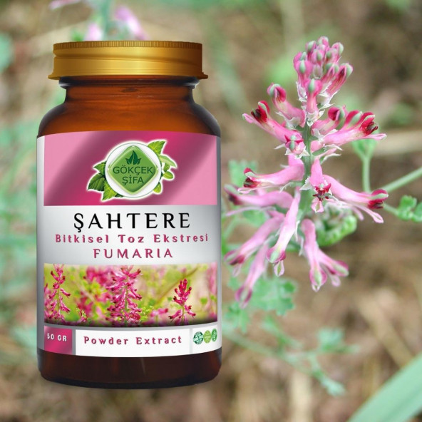 Şahtere Toz Ekstresi (Fumaria Officinalis)50 gr Cam Kavanoz - 6