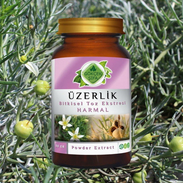 Üzerlik Toz Ekstresi (Peganum Harmala L.)80 gr Cam Kavanoz - 3