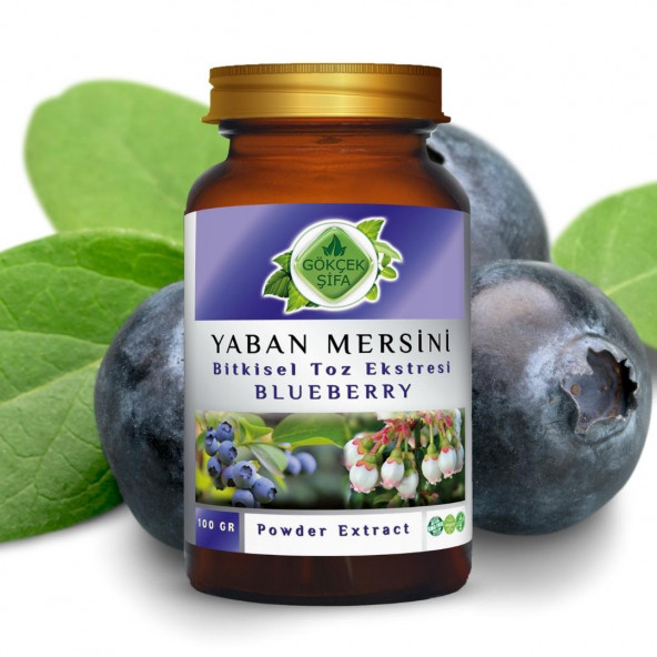 Yaban Mersini Toz Ekstresi (Vaccinium Myrtillus)100 gr Cam Kavanoz - 2