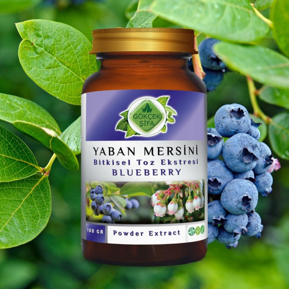 Yaban Mersini Toz Ekstresi (Vaccinium Myrtillus)100 gr Cam Kavanoz - 5