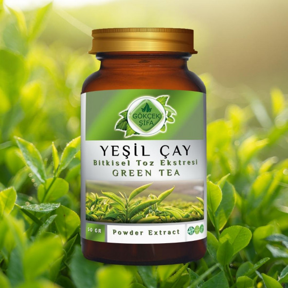 Yeşil Çay Toz Ekstresi (Camellia Sinensis)50 gr Cam Kavanoz - 3