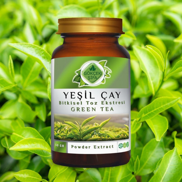 Yeşil Çay Toz Ekstresi (Camellia Sinensis)50 gr Cam Kavanoz - 4