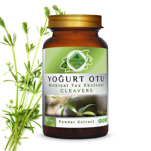 Yoğurt Otu Toz Ekstresi (Asterophyllum Aparine) 70 gr Cam Kavanoz - 2