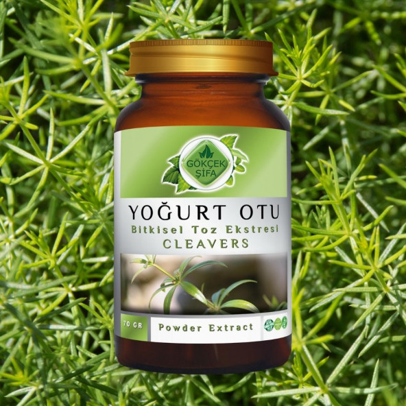Yoğurt Otu Toz Ekstresi (Asterophyllum Aparine) 70 gr Cam Kavanoz - 3