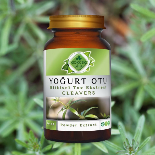 Yoğurt Otu Toz Ekstresi (Asterophyllum Aparine) 70 gr Cam Kavanoz - 4