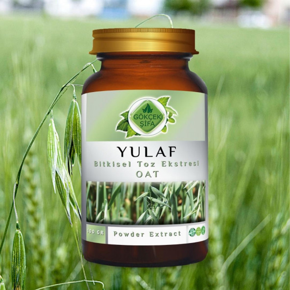 Yulaf Toz (Avena sativa L.)100 gr. Cam Kavanoz - 7