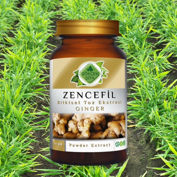 Zencefil Toz Ekstresi (Zingiber Officinale)70 gr Cam Kavanoz - 4