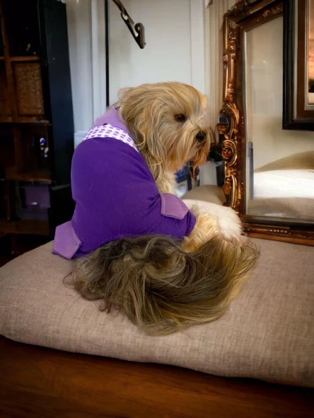 Chique Purple Duo Panda Tulum Köpek Kıyafeti - 6