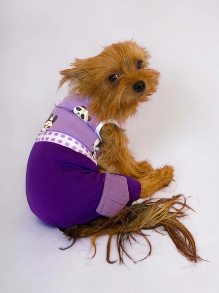 Chique Purple Duo Panda Tulum Köpek Kıyafeti - 2