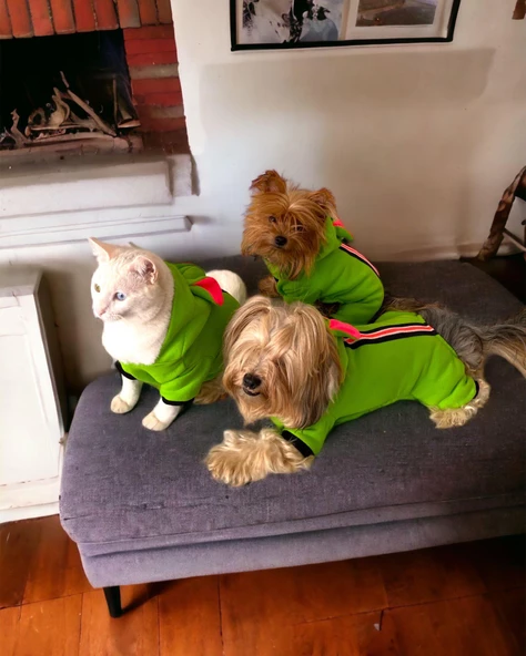 Shipy Pink Stripe Kulaklı Duo Köpek Tulumu Kıyafeti - 8